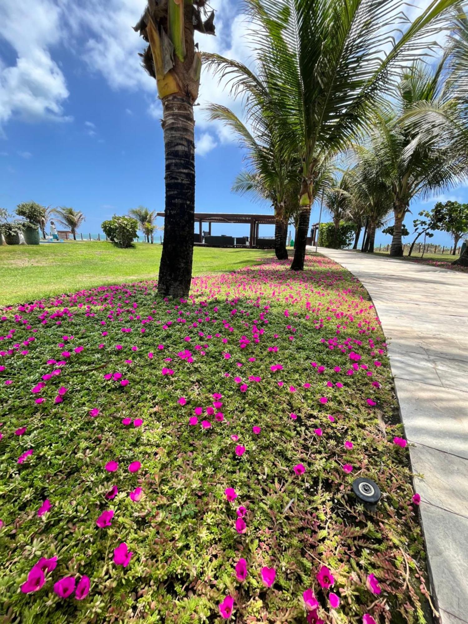 Resort Beira Mar Em Porto De Galinhas - Cupe Beach Living Pôrto das Galinhas 외부 사진